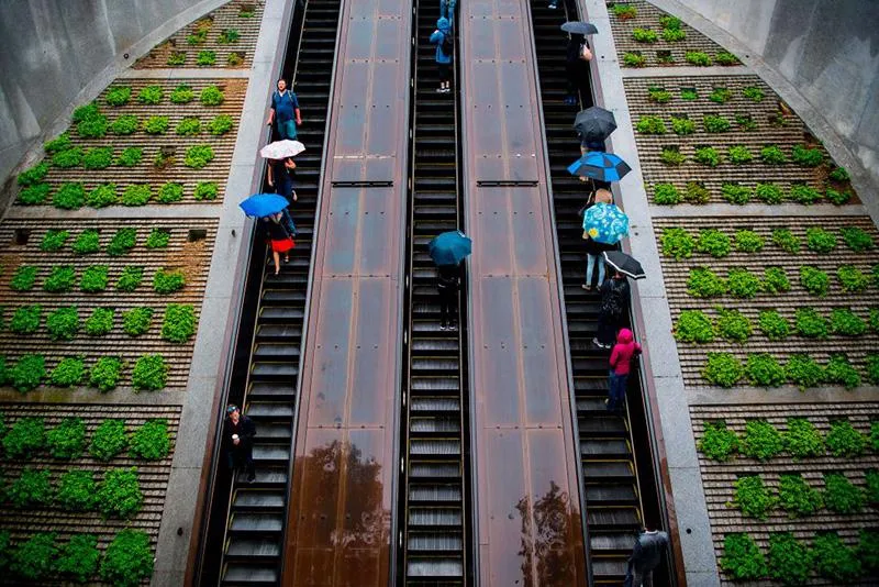 island_escalator